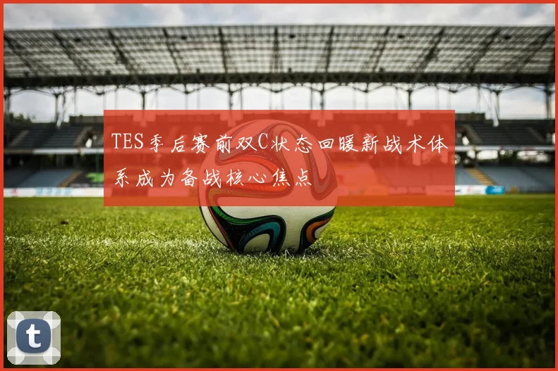 TES季后赛前双C状态回暖新战术体系成为备战核心焦点