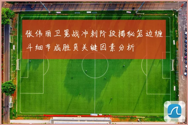 张伟丽卫冕战冲刺阶段揭秘笼边缠斗细节成胜负关键因素分析